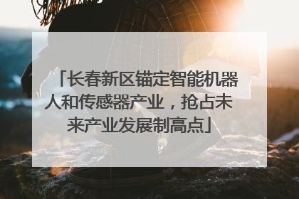 长春新区锚定智能机器人和传感器产业，抢占未来产业发展制高点