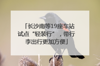 长沙南等19座车站试点“轻装行”，带行李出行更加方便