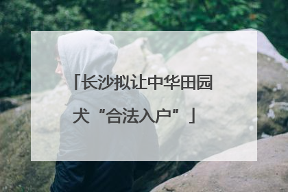 长沙拟让中华田园犬“合法入户”