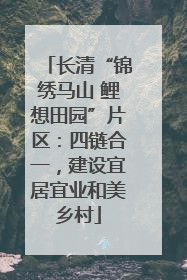 长清“锦绣马山 鲤想田园”片区：四链合一，建设宜居宜业和美乡村