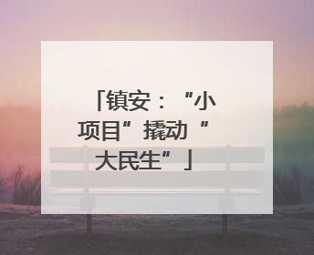镇安：“小项目”撬动“大民生”
