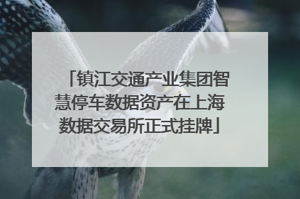 镇江交通产业集团智慧停车数据资产在上海数据交易所正式挂牌