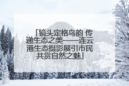镜头定格鸟韵 传递生态之美——连云港生态摄影展引市民共赏自然之魅