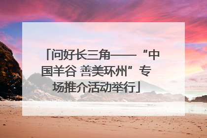 问好长三角——“中国羊谷 善美环州”专场推介活动举行