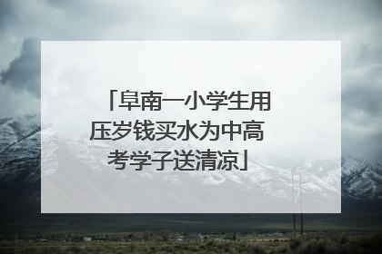 阜南一小学生用压岁钱买水为中高考学子送清凉