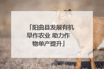 阳曲县发展有机旱作农业 助力作物单产提升
