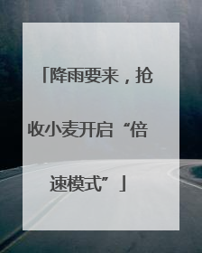 降雨要来，抢收小麦开启“倍速模式”