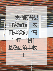 陕西府谷县田家寨镇：农田建设向“高”行 “耕”基稳固筑丰收