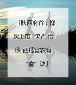 陕西府谷：梯次上市“巧”增收 西瓜富农有“蜜”诀