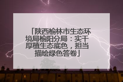 陕西榆林市生态环境局榆阳分局：实干厚植生态底色，担当描绘绿色答卷