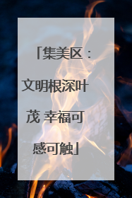 集美区：文明根深叶茂 幸福可感可触