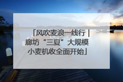 风吹麦浪一线行｜廊坊“三夏”大规模小麦机收全面开始
