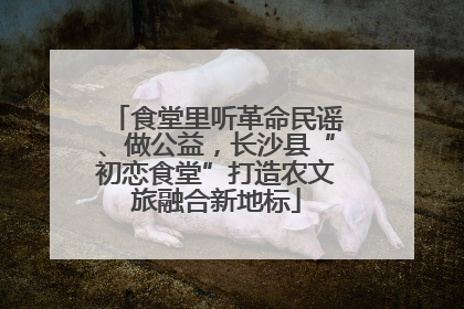食堂里听革命民谣、做公益，长沙县“初恋食堂”打造农文旅融合新地标