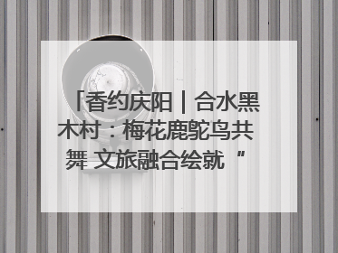 香约庆阳｜合水黑木村：梅花鹿鸵鸟共舞 文旅融合绘就“诗与远方”