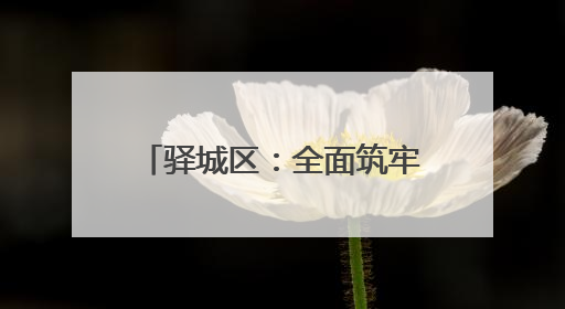 驿城区：全面筑牢防汛“安全网”