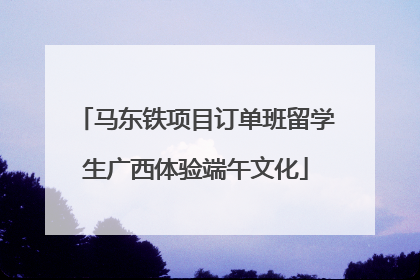 马东铁项目订单班留学生广西体验端午文化