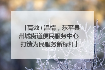 高效+温情，东平县州城街道便民服务中心打造为民服务新标杆