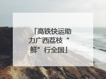 高铁快运助力广西荔枝“鲜”行全国