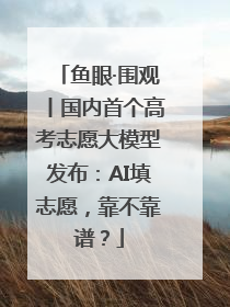 鱼眼·围观丨国内首个高考志愿大模型发布：AI填志愿，靠不靠谱？