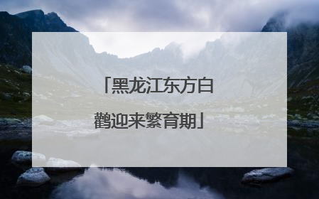 黑龙江东方白鹳迎来繁育期