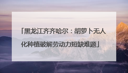 黑龙江齐齐哈尔：胡萝卜无人化种植破解劳动力短缺难题