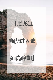 黑龙江：狮虎进入繁殖高峰期
