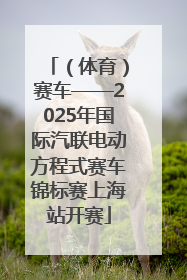 （体育）赛车——2025年国际汽联电动方程式赛车锦标赛上海站开赛