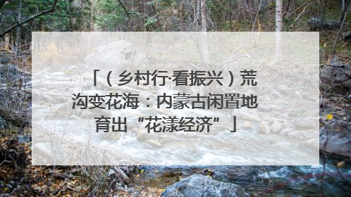 （乡村行·看振兴）荒沟变花海：内蒙古闲置地育出“花漾经济”