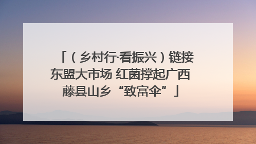 （乡村行·看振兴）链接东盟大市场 红菌撑起广西藤县山乡“致富伞”