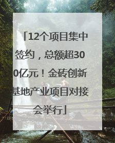 12个项目集中签约，总额超300亿元！金砖创新基地产业项目对接会举行