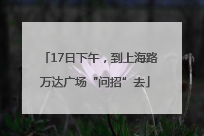 17日下午，到上海路万达广场“问招”去