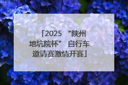 2025 “陕州地坑院杯” 自行车邀请赛激情开赛