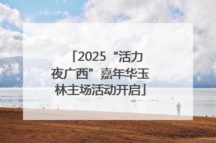 2025“活力夜广西”嘉年华玉林主场活动开启