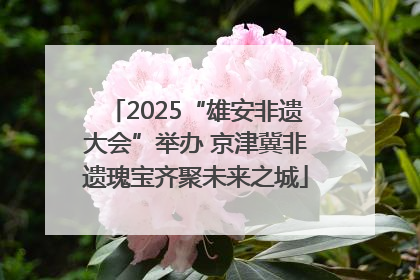 2025“雄安非遗大会”举办 京津冀非遗瑰宝齐聚未来之城