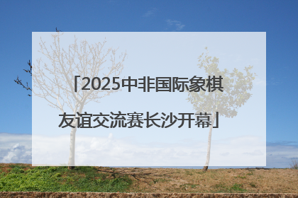 2025中非国际象棋友谊交流赛长沙开幕