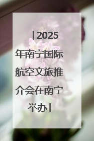 2025年南宁国际航空文旅推介会在南宁举办