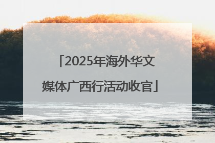 2025年海外华文媒体广西行活动收官