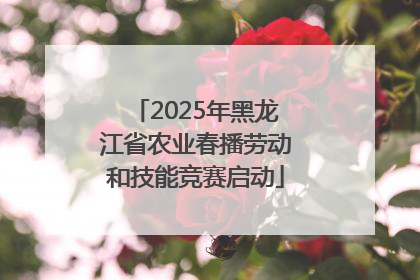 2025年黑龙江省农业春播劳动和技能竞赛启动