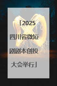 2025四川省微短剧剧本创投大会举行