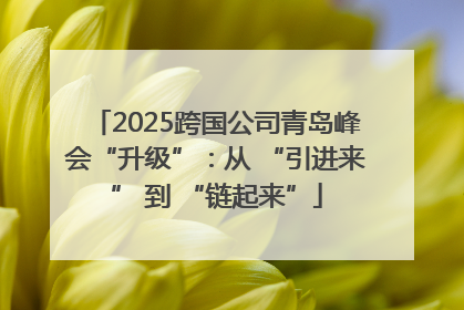 2025跨国公司青岛峰会“升级”：从 “引进来” 到 “链起来”