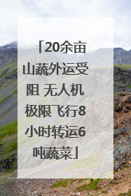 20余亩山蔬外运受阻 无人机极限飞行8小时转运6吨蔬菜
