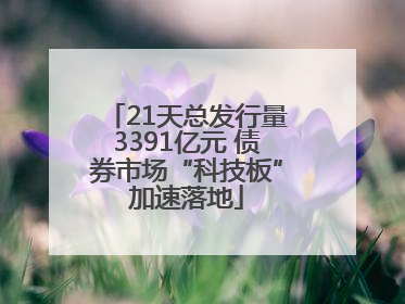 21天总发行量3391亿元 债券市场“科技板”加速落地