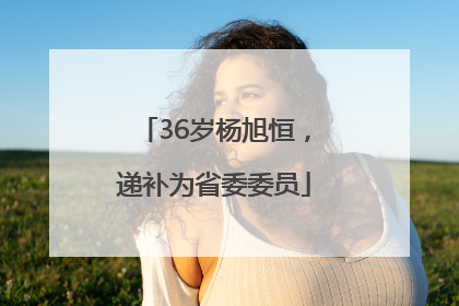 36岁杨旭恒，递补为省委委员
