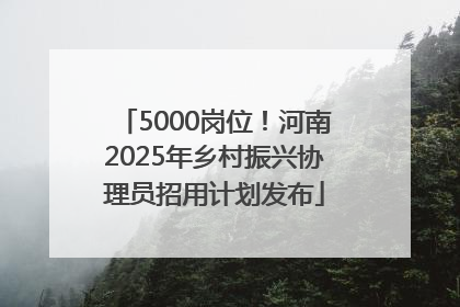 5000岗位！河南2025年乡村振兴协理员招用计划发布