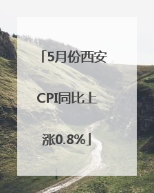 5月份西安CPI同比上涨0.8%