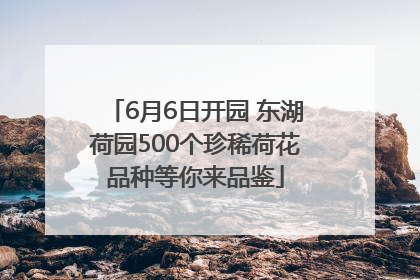 6月6日开园 东湖荷园500个珍稀荷花品种等你来品鉴
