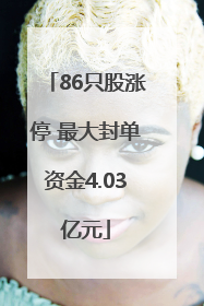 86只股涨停 最大封单资金4.03亿元