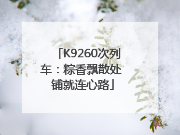 K9260次列车：粽香飘散处 铺就连心路